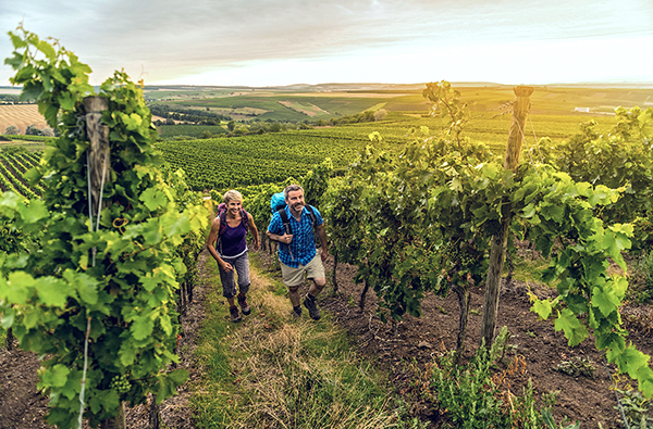 Hiwweltouren Wanderurlaub für 2 (1 Nacht)