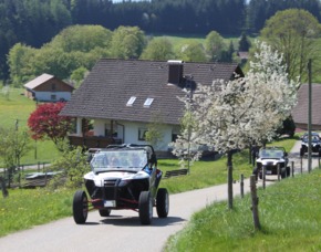 Buggy fahren Meißenheim