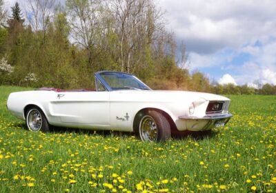 Ford Mustang fahren Thale