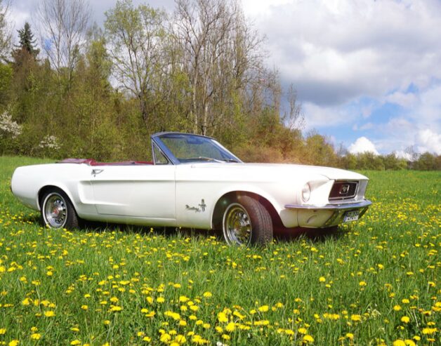 Ford Mustang fahren Thale