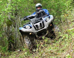 Quad Tour Viehhofen