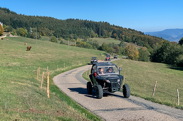 Quad fahren Meißenheim (4 Std.)