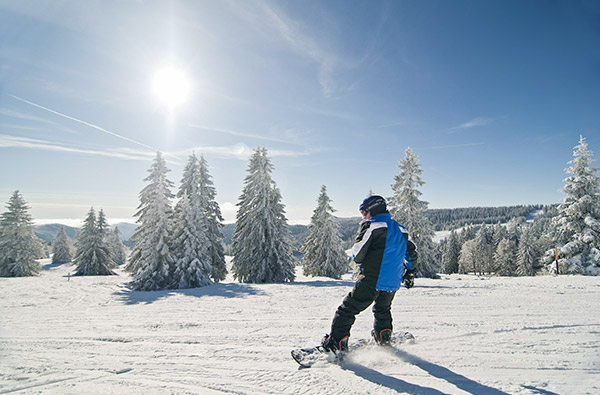 Snowboard Kurs Feldberg Einsteiger (3 Std.)