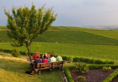 Weinbergwanderung Ingelheim am Rhein